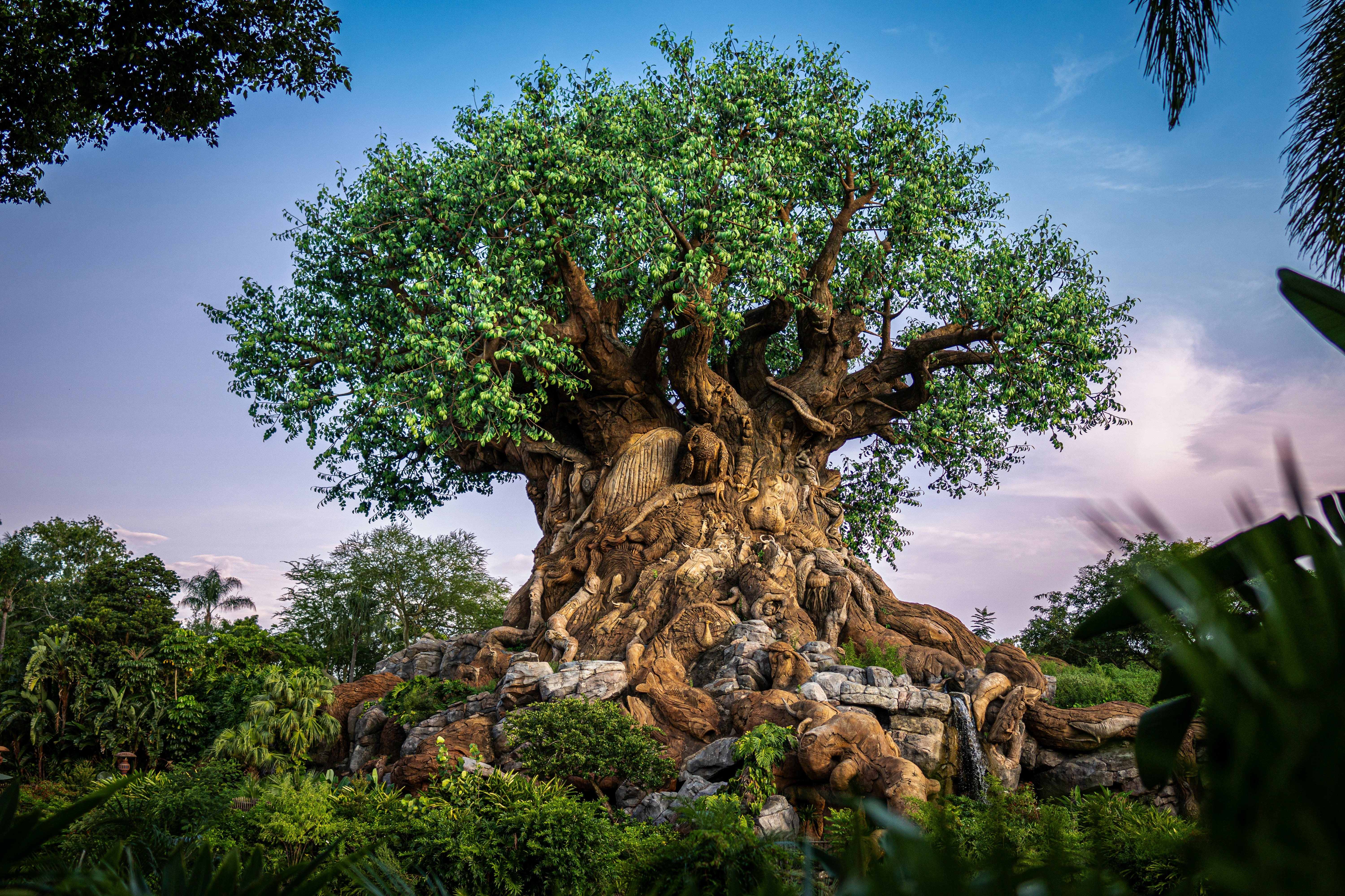 Tree of Life